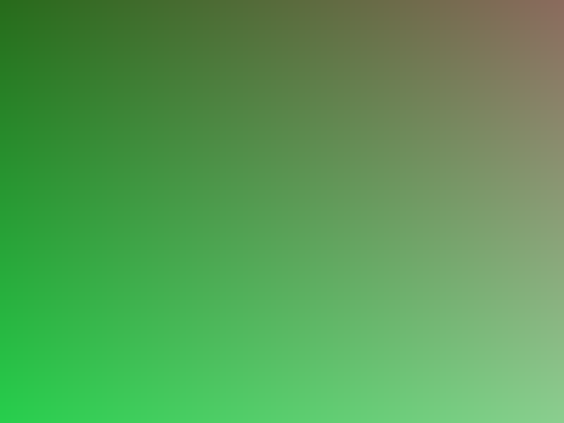 Generated 800 by 600 test image 137