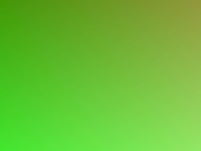 Generated 640 by 480 test image 301